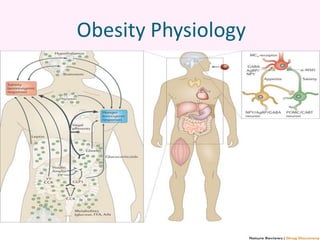 Obesity Physiology
 