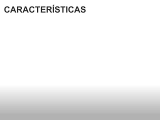 CARACTERÍSTICAS    