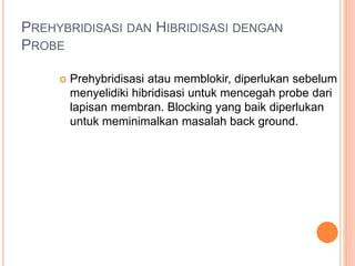 PREHYBRIDISASI DAN HIBRIDISASI DENGAN
PROBE
 Prehybridisasi atau memblokir, diperlukan sebelum
menyelidiki hibridisasi untuk mencegah probe dari
lapisan membran. Blocking yang baik diperlukan
untuk meminimalkan masalah back ground.
 