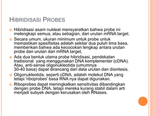 HIBRIDISASI PROBES
 Hibridisasi asam nukleat mensyaratkan bahwa probe ini
melengkapi semua, atau sebagian, dari urutan mRNA target.
 Secara umum, ukuran minimum untuk probe untuk
memastikan spesifisitas adalah sekitar dua puluh lima basa,
memberikan bahwa ada kecocokan lengkap antara urutan
probe dan urutan dari mRNA target,
 Ada dua bentuk utama probe hibridisasi, pendekatan
tradisional yang menggunakan DNA komplementer (cDNA).
Atau, anti-sense oligonukleotida (umumnya
30-40 basa) dapat dirancang dari data urutan dan disintesis.
 Oligonukleotida, seperti cDNA, adalah molekul DNA yang
tetapi 'riboprobes' basa RNA nya dapat digunakan.
 Riboprobes dapat meningkatkan sensitivitas dibandingkan
dengan probe DNA, tetapi mereka kurang stabil dalam arti
menjadi subyek dengan kerusakan oleh RNases.
 