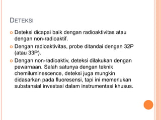 DETEKSI
 Deteksi dicapai baik dengan radioaktivitas atau
dengan non-radioaktif.
 Dengan radioaktivitas, probe ditandai dengan 32P
(atau 33P).
 Dengan non-radioaktiv, deteksi dilakukan dengan
pewarnaan. Salah satunya dengan teknik
chemiluminescence, deteksi juga mungkin
didasarkan pada fluoresensi, tapi ini memerlukan
substansial investasi dalam instrumentasi khusus.
 