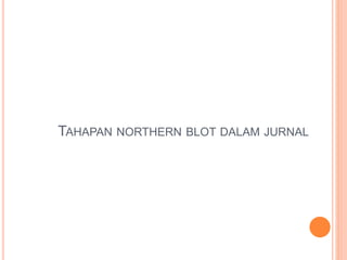 TAHAPAN NORTHERN BLOT DALAM JURNAL
 