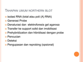 TAHAPAN UMUM NORTHERN BLOT
 isolasi RNA (total atau poli (A) RNA)
 Generasi Probe
 Denaturasi dan elektroforesis gel agarosa
 Transfer ke support solid dan imobilisasi
 Prehybridization dan hibridisasi dengan probe
 Pencucian
 Deteksi
 Pengupasan dan reprobing (opsional)
 