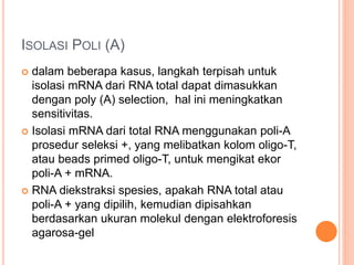ISOLASI POLI (A)
 dalam beberapa kasus, langkah terpisah untuk
isolasi mRNA dari RNA total dapat dimasukkan
dengan poly (A) selection, hal ini meningkatkan
sensitivitas.
 Isolasi mRNA dari total RNA menggunakan poli-A
prosedur seleksi +, yang melibatkan kolom oligo-T,
atau beads primed oligo-T, untuk mengikat ekor
poli-A + mRNA.
 RNA diekstraksi spesies, apakah RNA total atau
poli-A + yang dipilih, kemudian dipisahkan
berdasarkan ukuran molekul dengan elektroforesis
agarosa-gel
 