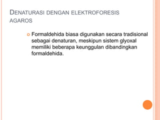 DENATURASI DENGAN ELEKTROFORESIS
AGAROS
 Formaldehida biasa digunakan secara tradisional
sebagai denaturan, meskipun sistem glyoxal
memiliki beberapa keunggulan dibandingkan
formaldehida.
 