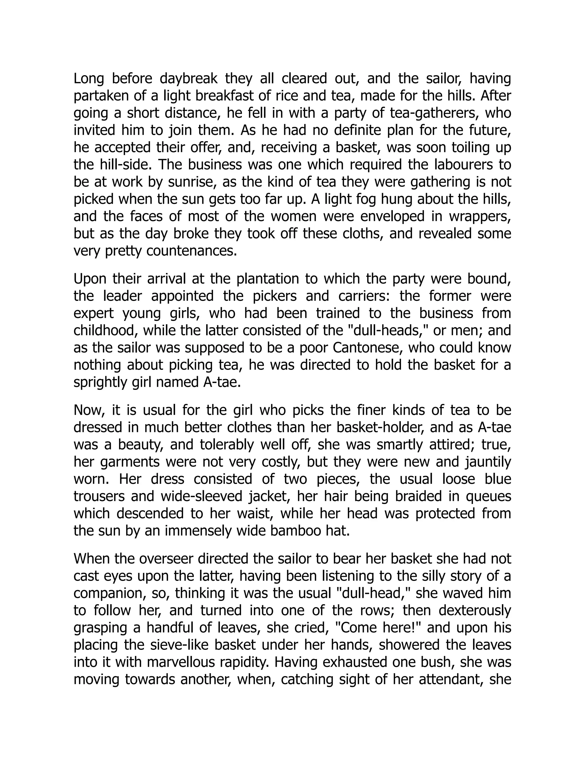 Long before daybreak they all cleared out, and the sailor, having
partaken of a light breakfast of rice and tea, made for the hills. After
going a short distance, he fell in with a party of tea-gatherers, who
invited him to join them. As he had no definite plan for the future,
he accepted their offer, and, receiving a basket, was soon toiling up
the hill-side. The business was one which required the labourers to
be at work by sunrise, as the kind of tea they were gathering is not
picked when the sun gets too far up. A light fog hung about the hills,
and the faces of most of the women were enveloped in wrappers,
but as the day broke they took off these cloths, and revealed some
very pretty countenances.
Upon their arrival at the plantation to which the party were bound,
the leader appointed the pickers and carriers: the former were
expert young girls, who had been trained to the business from
childhood, while the latter consisted of the "dull-heads," or men; and
as the sailor was supposed to be a poor Cantonese, who could know
nothing about picking tea, he was directed to hold the basket for a
sprightly girl named A-tae.
Now, it is usual for the girl who picks the finer kinds of tea to be
dressed in much better clothes than her basket-holder, and as A-tae
was a beauty, and tolerably well off, she was smartly attired; true,
her garments were not very costly, but they were new and jauntily
worn. Her dress consisted of two pieces, the usual loose blue
trousers and wide-sleeved jacket, her hair being braided in queues
which descended to her waist, while her head was protected from
the sun by an immensely wide bamboo hat.
When the overseer directed the sailor to bear her basket she had not
cast eyes upon the latter, having been listening to the silly story of a
companion, so, thinking it was the usual "dull-head," she waved him
to follow her, and turned into one of the rows; then dexterously
grasping a handful of leaves, she cried, "Come here!" and upon his
placing the sieve-like basket under her hands, showered the leaves
into it with marvellous rapidity. Having exhausted one bush, she was
moving towards another, when, catching sight of her attendant, she
 