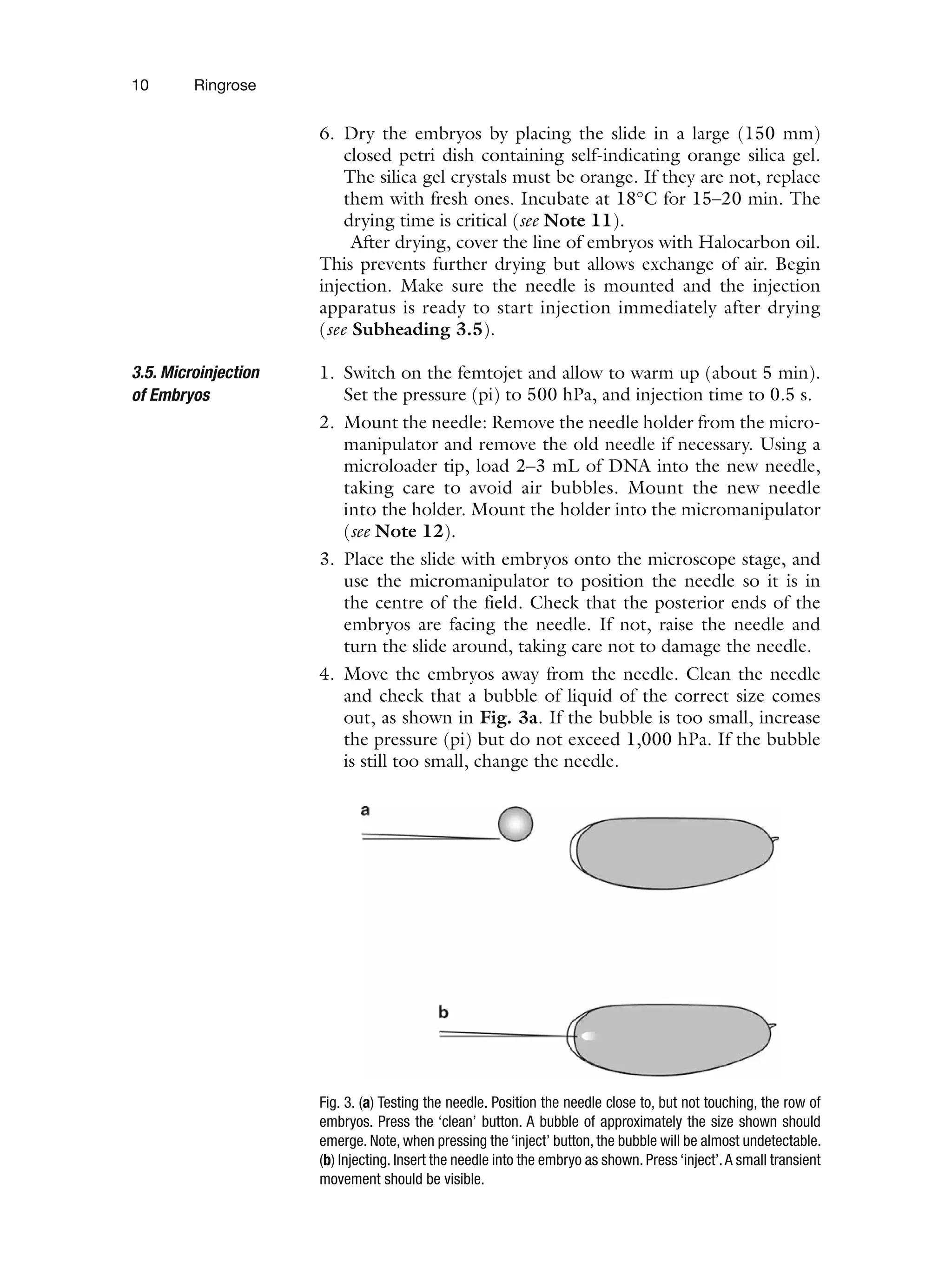10 Ringrose
6. Dry the embryos by placing the slide in a large (150 mm)
closed petri dish containing self-indicating orange silica gel.
The silica gel crystals must be orange. If they are not, replace
them with fresh ones. Incubate at 18°C for 15–20 min. The
drying time is critical (see Note 11).
After drying, cover the line of embryos with Halocarbon oil.
This prevents further drying but allows exchange of air. Begin
injection. Make sure the needle is mounted and the injection
apparatus is ready to start injection immediately after drying
(see Subheading 3.5).
1. Switch on the femtojet and allow to warm up (about 5 min).
Set the pressure (pi) to 500 hPa, and injection time to 0.5 s.
2. Mount the needle: Remove the needle holder from the micro-
manipulator and remove the old needle if necessary. Using a
microloader tip, load 2–3 mL of DNA into the new needle,
taking care to avoid air bubbles. Mount the new needle
into the holder. Mount the holder into the micromanipulator
(see Note 12).
3. Place the slide with embryos onto the microscope stage, and
use the micromanipulator to position the needle so it is in
the centre of the field. Check that the posterior ends of the
embryos are facing the needle. If not, raise the needle and
turn the slide around, taking care not to damage the needle.
4. Move the embryos away from the needle. Clean the needle
and check that a bubble of liquid of the correct size comes
out, as shown in Fig. 3a. If the bubble is too small, increase
the pressure (pi) but do not exceed 1,000 hPa. If the bubble
is still too small, change the needle.
3.5. Microinjection
of Embryos
Fig. 3. (a) Testing the needle. Position the needle close to, but not touching, the row of
embryos. Press the ‘clean’ button. A bubble of approximately the size shown should
emerge. Note, when pressing the ‘inject’ button, the bubble will be almost undetectable.
(b) Injecting. Insert the needle into the embryo as shown. Press ‘inject’.A small transient
movement should be visible.
 
