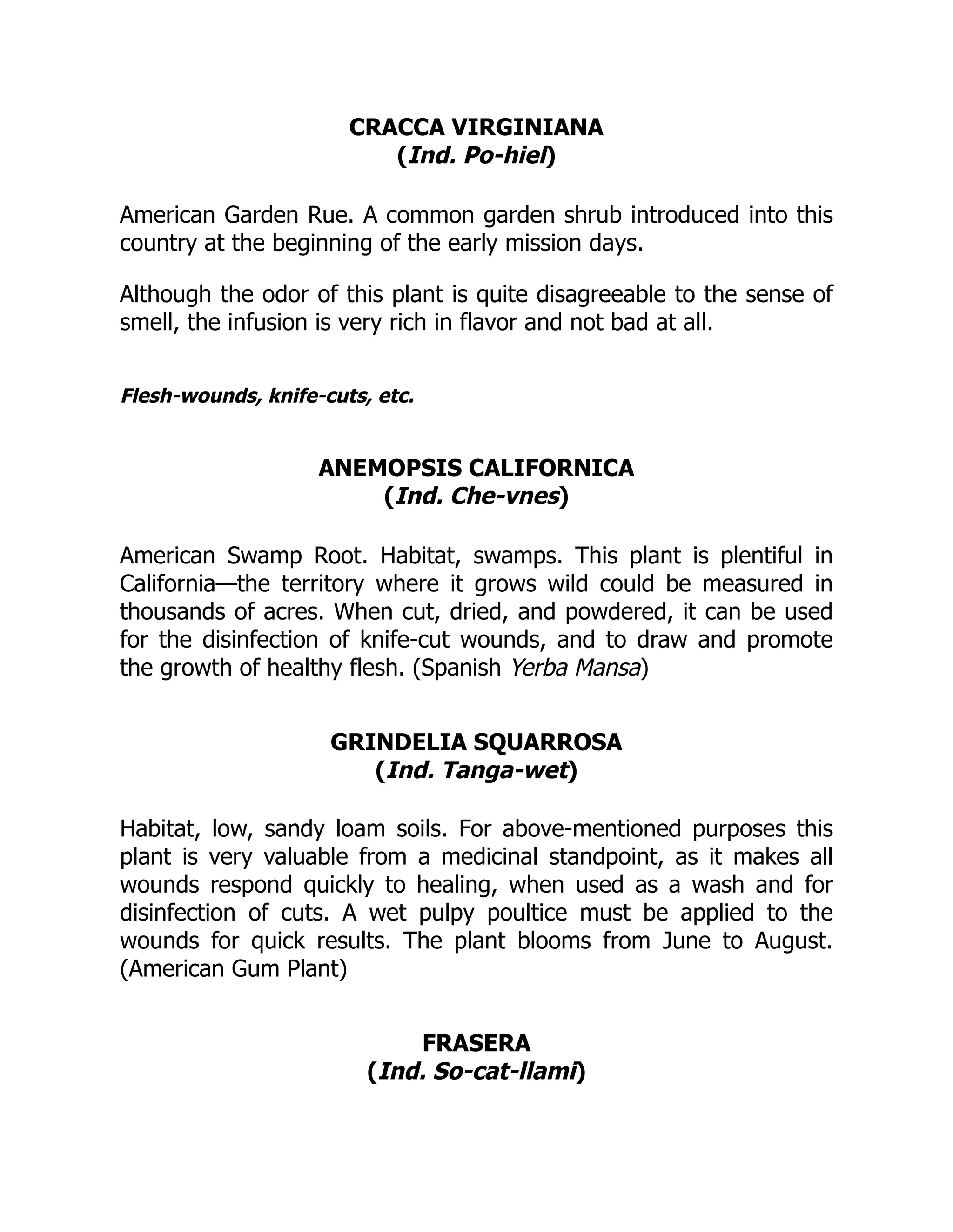 CRACCA VIRGINIANA
(Ind. Po-hiel)
American Garden Rue. A common garden shrub introduced into this
country at the beginning of the early mission days.
Although the odor of this plant is quite disagreeable to the sense of
smell, the infusion is very rich in flavor and not bad at all.
Flesh-wounds, knife-cuts, etc.
ANEMOPSIS CALIFORNICA
(Ind. Che-vnes)
American Swamp Root. Habitat, swamps. This plant is plentiful in
California—the territory where it grows wild could be measured in
thousands of acres. When cut, dried, and powdered, it can be used
for the disinfection of knife-cut wounds, and to draw and promote
the growth of healthy flesh. (Spanish Yerba Mansa)
GRINDELIA SQUARROSA
(Ind. Tanga-wet)
Habitat, low, sandy loam soils. For above-mentioned purposes this
plant is very valuable from a medicinal standpoint, as it makes all
wounds respond quickly to healing, when used as a wash and for
disinfection of cuts. A wet pulpy poultice must be applied to the
wounds for quick results. The plant blooms from June to August.
(American Gum Plant)
FRASERA
(Ind. So-cat-llami)
 
