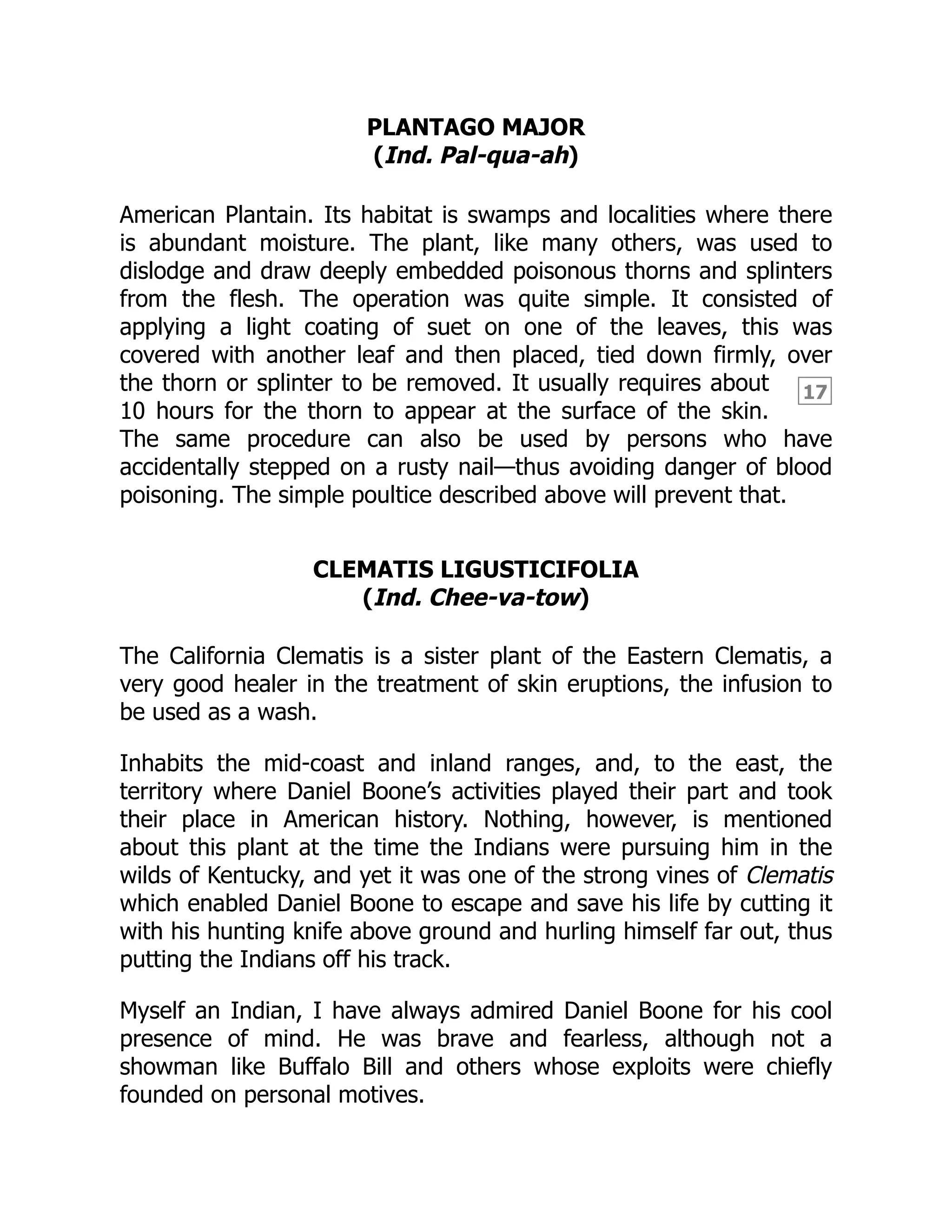 17
PLANTAGO MAJOR
(Ind. Pal-qua-ah)
American Plantain. Its habitat is swamps and localities where there
is abundant moisture. The plant, like many others, was used to
dislodge and draw deeply embedded poisonous thorns and splinters
from the flesh. The operation was quite simple. It consisted of
applying a light coating of suet on one of the leaves, this was
covered with another leaf and then placed, tied down firmly, over
the thorn or splinter to be removed. It usually requires about
10 hours for the thorn to appear at the surface of the skin.
The same procedure can also be used by persons who have
accidentally stepped on a rusty nail—thus avoiding danger of blood
poisoning. The simple poultice described above will prevent that.
CLEMATIS LIGUSTICIFOLIA
(Ind. Chee-va-tow)
The California Clematis is a sister plant of the Eastern Clematis, a
very good healer in the treatment of skin eruptions, the infusion to
be used as a wash.
Inhabits the mid-coast and inland ranges, and, to the east, the
territory where Daniel Boone’s activities played their part and took
their place in American history. Nothing, however, is mentioned
about this plant at the time the Indians were pursuing him in the
wilds of Kentucky, and yet it was one of the strong vines of Clematis
which enabled Daniel Boone to escape and save his life by cutting it
with his hunting knife above ground and hurling himself far out, thus
putting the Indians off his track.
Myself an Indian, I have always admired Daniel Boone for his cool
presence of mind. He was brave and fearless, although not a
showman like Buffalo Bill and others whose exploits were chiefly
founded on personal motives.
 