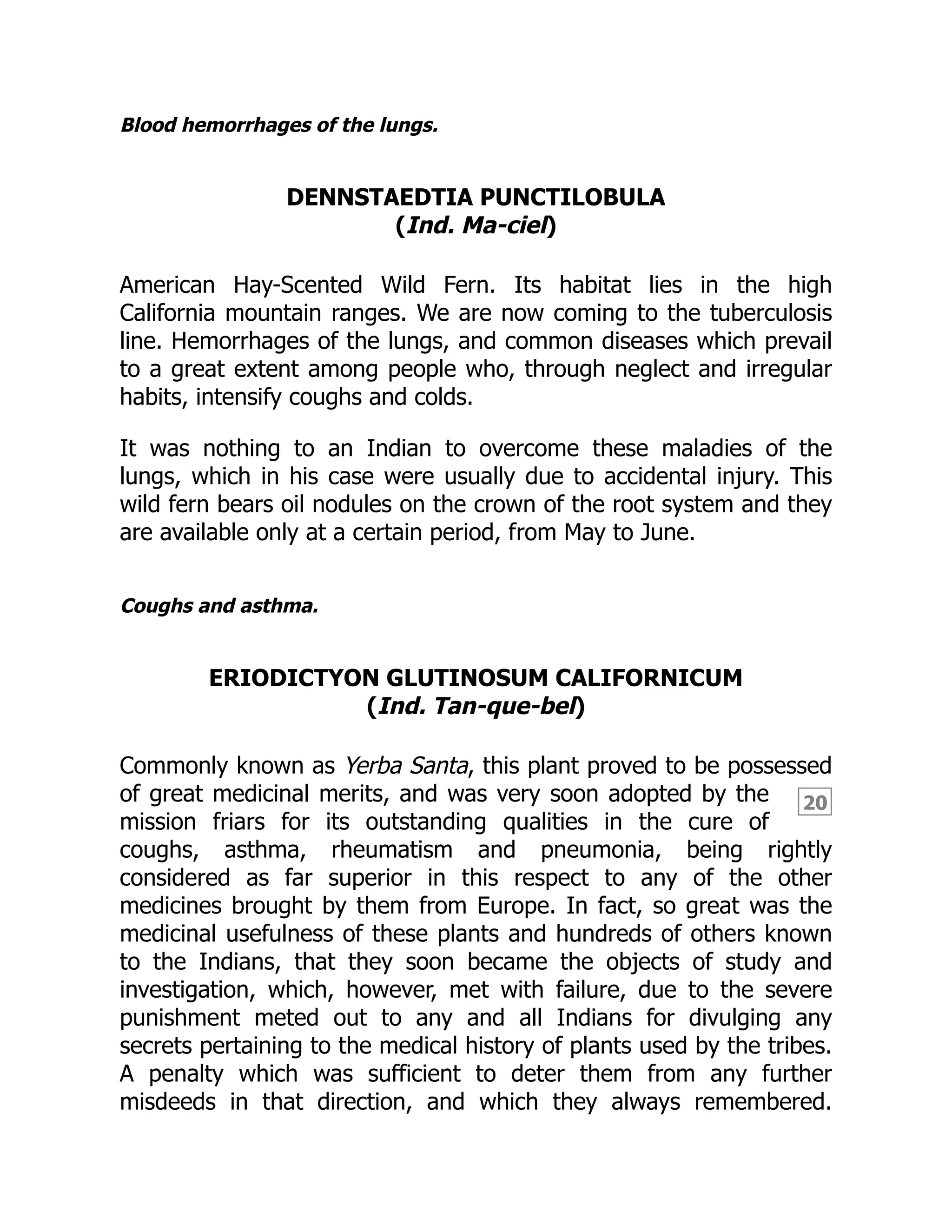 20
Blood hemorrhages of the lungs.
DENNSTAEDTIA PUNCTILOBULA
(Ind. Ma-ciel)
American Hay-Scented Wild Fern. Its habitat lies in the high
California mountain ranges. We are now coming to the tuberculosis
line. Hemorrhages of the lungs, and common diseases which prevail
to a great extent among people who, through neglect and irregular
habits, intensify coughs and colds.
It was nothing to an Indian to overcome these maladies of the
lungs, which in his case were usually due to accidental injury. This
wild fern bears oil nodules on the crown of the root system and they
are available only at a certain period, from May to June.
Coughs and asthma.
ERIODICTYON GLUTINOSUM CALIFORNICUM
(Ind. Tan-que-bel)
Commonly known as Yerba Santa, this plant proved to be possessed
of great medicinal merits, and was very soon adopted by the
mission friars for its outstanding qualities in the cure of
coughs, asthma, rheumatism and pneumonia, being rightly
considered as far superior in this respect to any of the other
medicines brought by them from Europe. In fact, so great was the
medicinal usefulness of these plants and hundreds of others known
to the Indians, that they soon became the objects of study and
investigation, which, however, met with failure, due to the severe
punishment meted out to any and all Indians for divulging any
secrets pertaining to the medical history of plants used by the tribes.
A penalty which was sufficient to deter them from any further
misdeeds in that direction, and which they always remembered.
 