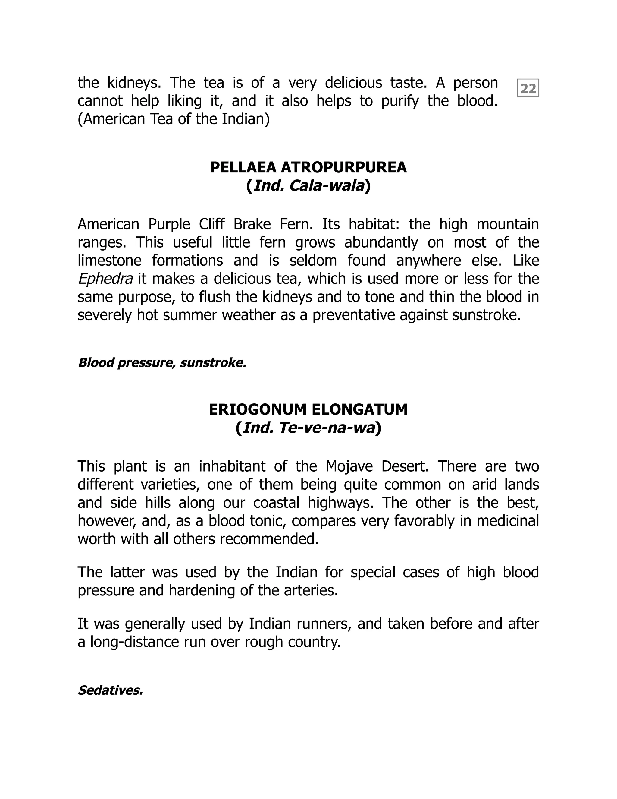 22
the kidneys. The tea is of a very delicious taste. A person
cannot help liking it, and it also helps to purify the blood.
(American Tea of the Indian)
PELLAEA ATROPURPUREA
(Ind. Cala-wala)
American Purple Cliff Brake Fern. Its habitat: the high mountain
ranges. This useful little fern grows abundantly on most of the
limestone formations and is seldom found anywhere else. Like
Ephedra it makes a delicious tea, which is used more or less for the
same purpose, to flush the kidneys and to tone and thin the blood in
severely hot summer weather as a preventative against sunstroke.
Blood pressure, sunstroke.
ERIOGONUM ELONGATUM
(Ind. Te-ve-na-wa)
This plant is an inhabitant of the Mojave Desert. There are two
different varieties, one of them being quite common on arid lands
and side hills along our coastal highways. The other is the best,
however, and, as a blood tonic, compares very favorably in medicinal
worth with all others recommended.
The latter was used by the Indian for special cases of high blood
pressure and hardening of the arteries.
It was generally used by Indian runners, and taken before and after
a long-distance run over rough country.
Sedatives.
 