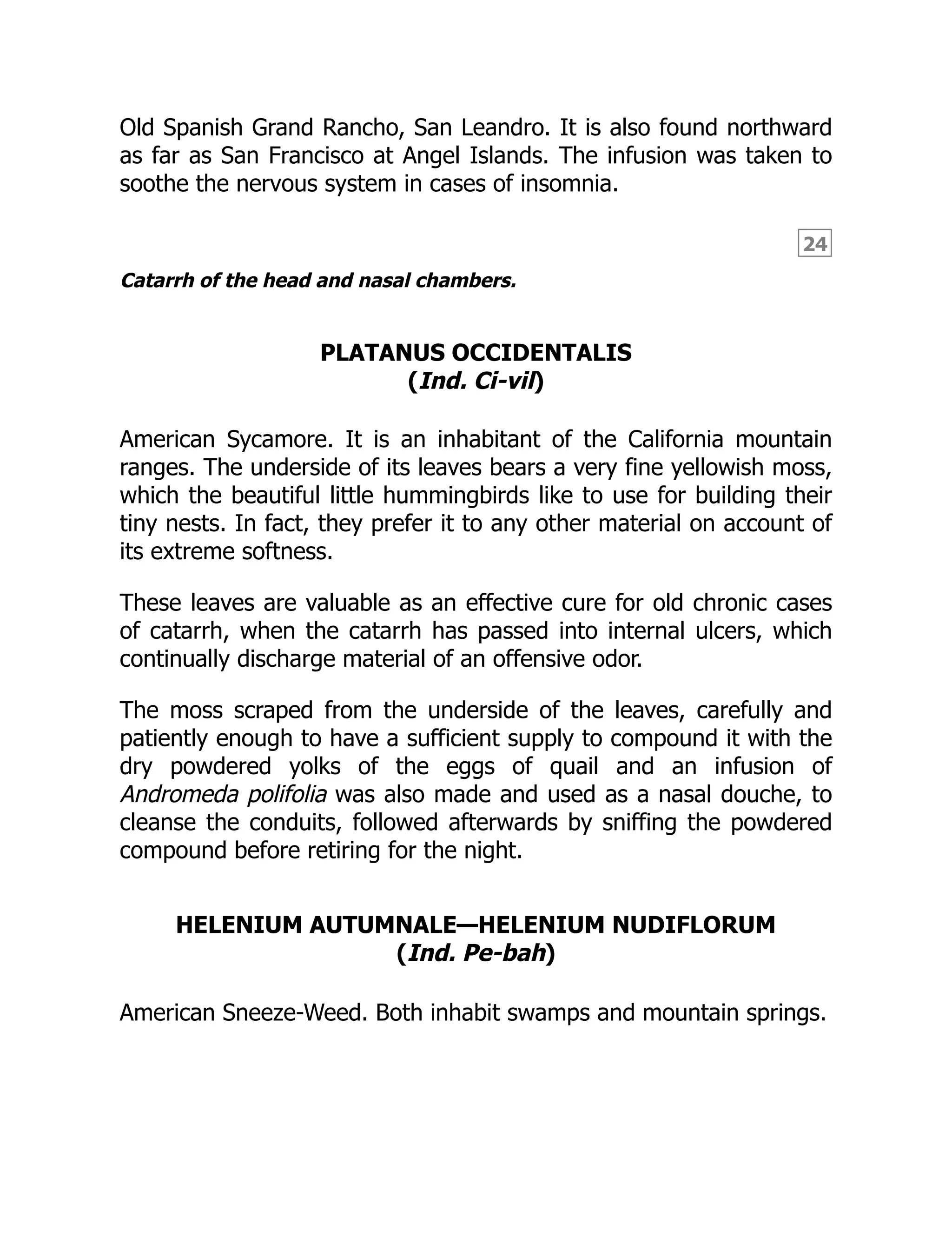24
Old Spanish Grand Rancho, San Leandro. It is also found northward
as far as San Francisco at Angel Islands. The infusion was taken to
soothe the nervous system in cases of insomnia.
Catarrh of the head and nasal chambers.
PLATANUS OCCIDENTALIS
(Ind. Ci-vil)
American Sycamore. It is an inhabitant of the California mountain
ranges. The underside of its leaves bears a very fine yellowish moss,
which the beautiful little hummingbirds like to use for building their
tiny nests. In fact, they prefer it to any other material on account of
its extreme softness.
These leaves are valuable as an effective cure for old chronic cases
of catarrh, when the catarrh has passed into internal ulcers, which
continually discharge material of an offensive odor.
The moss scraped from the underside of the leaves, carefully and
patiently enough to have a sufficient supply to compound it with the
dry powdered yolks of the eggs of quail and an infusion of
Andromeda polifolia was also made and used as a nasal douche, to
cleanse the conduits, followed afterwards by sniffing the powdered
compound before retiring for the night.
HELENIUM AUTUMNALE—HELENIUM NUDIFLORUM
(Ind. Pe-bah)
American Sneeze-Weed. Both inhabit swamps and mountain springs.
 