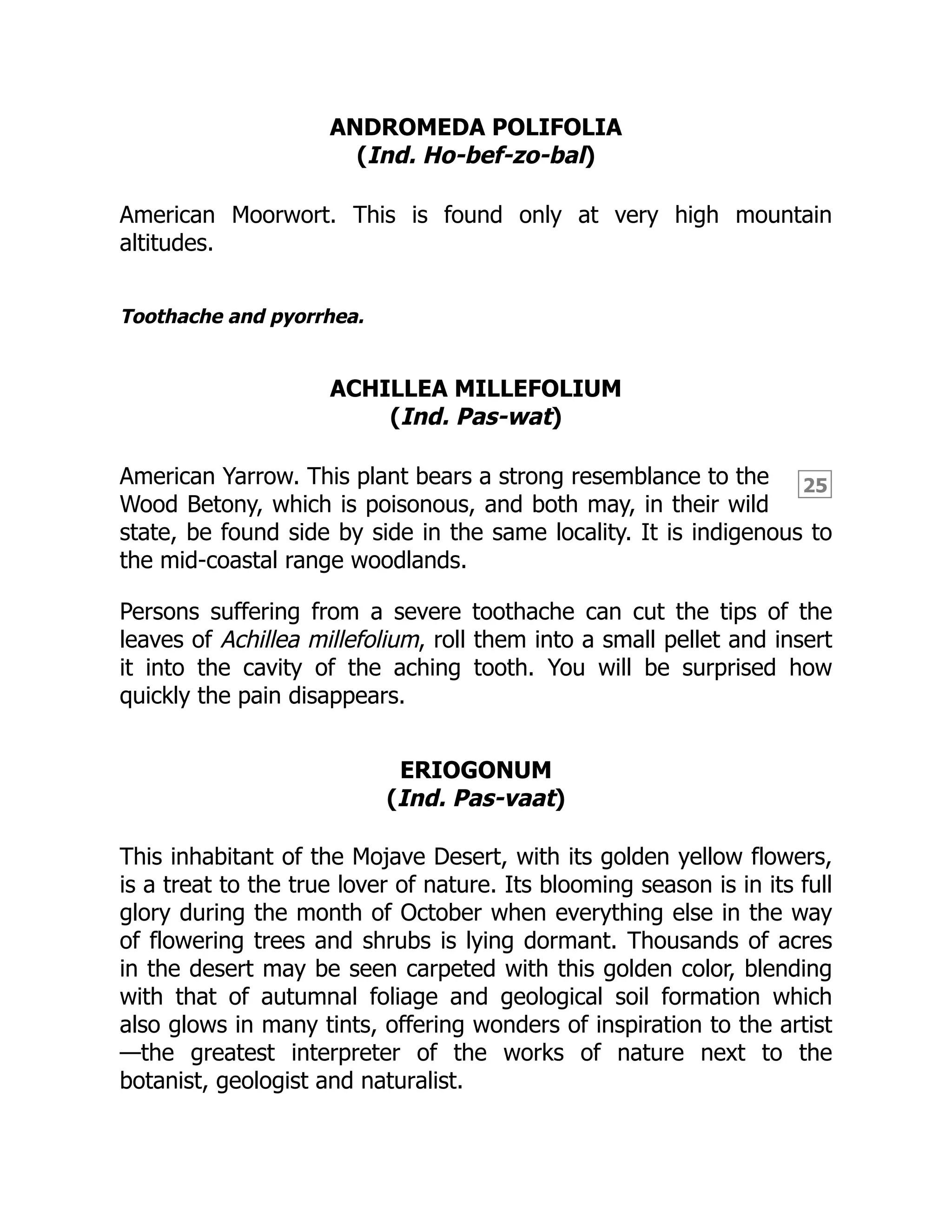 25
ANDROMEDA POLIFOLIA
(Ind. Ho-bef-zo-bal)
American Moorwort. This is found only at very high mountain
altitudes.
Toothache and pyorrhea.
ACHILLEA MILLEFOLIUM
(Ind. Pas-wat)
American Yarrow. This plant bears a strong resemblance to the
Wood Betony, which is poisonous, and both may, in their wild
state, be found side by side in the same locality. It is indigenous to
the mid-coastal range woodlands.
Persons suffering from a severe toothache can cut the tips of the
leaves of Achillea millefolium, roll them into a small pellet and insert
it into the cavity of the aching tooth. You will be surprised how
quickly the pain disappears.
ERIOGONUM
(Ind. Pas-vaat)
This inhabitant of the Mojave Desert, with its golden yellow flowers,
is a treat to the true lover of nature. Its blooming season is in its full
glory during the month of October when everything else in the way
of flowering trees and shrubs is lying dormant. Thousands of acres
in the desert may be seen carpeted with this golden color, blending
with that of autumnal foliage and geological soil formation which
also glows in many tints, offering wonders of inspiration to the artist
—the greatest interpreter of the works of nature next to the
botanist, geologist and naturalist.
 
