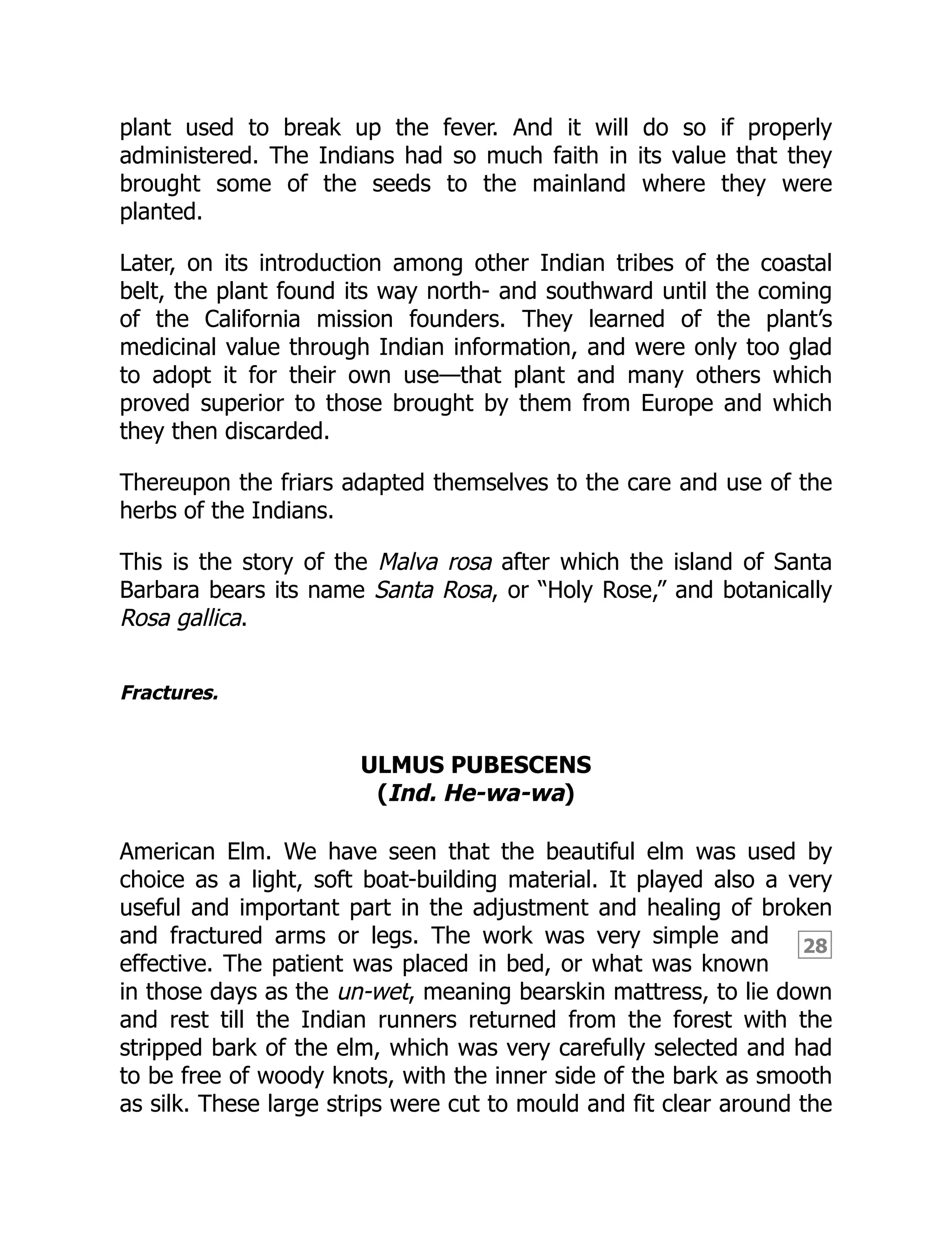 28
plant used to break up the fever. And it will do so if properly
administered. The Indians had so much faith in its value that they
brought some of the seeds to the mainland where they were
planted.
Later, on its introduction among other Indian tribes of the coastal
belt, the plant found its way north- and southward until the coming
of the California mission founders. They learned of the plant’s
medicinal value through Indian information, and were only too glad
to adopt it for their own use—that plant and many others which
proved superior to those brought by them from Europe and which
they then discarded.
Thereupon the friars adapted themselves to the care and use of the
herbs of the Indians.
This is the story of the Malva rosa after which the island of Santa
Barbara bears its name Santa Rosa, or “Holy Rose,” and botanically
Rosa gallica.
Fractures.
ULMUS PUBESCENS
(Ind. He-wa-wa)
American Elm. We have seen that the beautiful elm was used by
choice as a light, soft boat-building material. It played also a very
useful and important part in the adjustment and healing of broken
and fractured arms or legs. The work was very simple and
effective. The patient was placed in bed, or what was known
in those days as the un-wet, meaning bearskin mattress, to lie down
and rest till the Indian runners returned from the forest with the
stripped bark of the elm, which was very carefully selected and had
to be free of woody knots, with the inner side of the bark as smooth
as silk. These large strips were cut to mould and fit clear around the
 