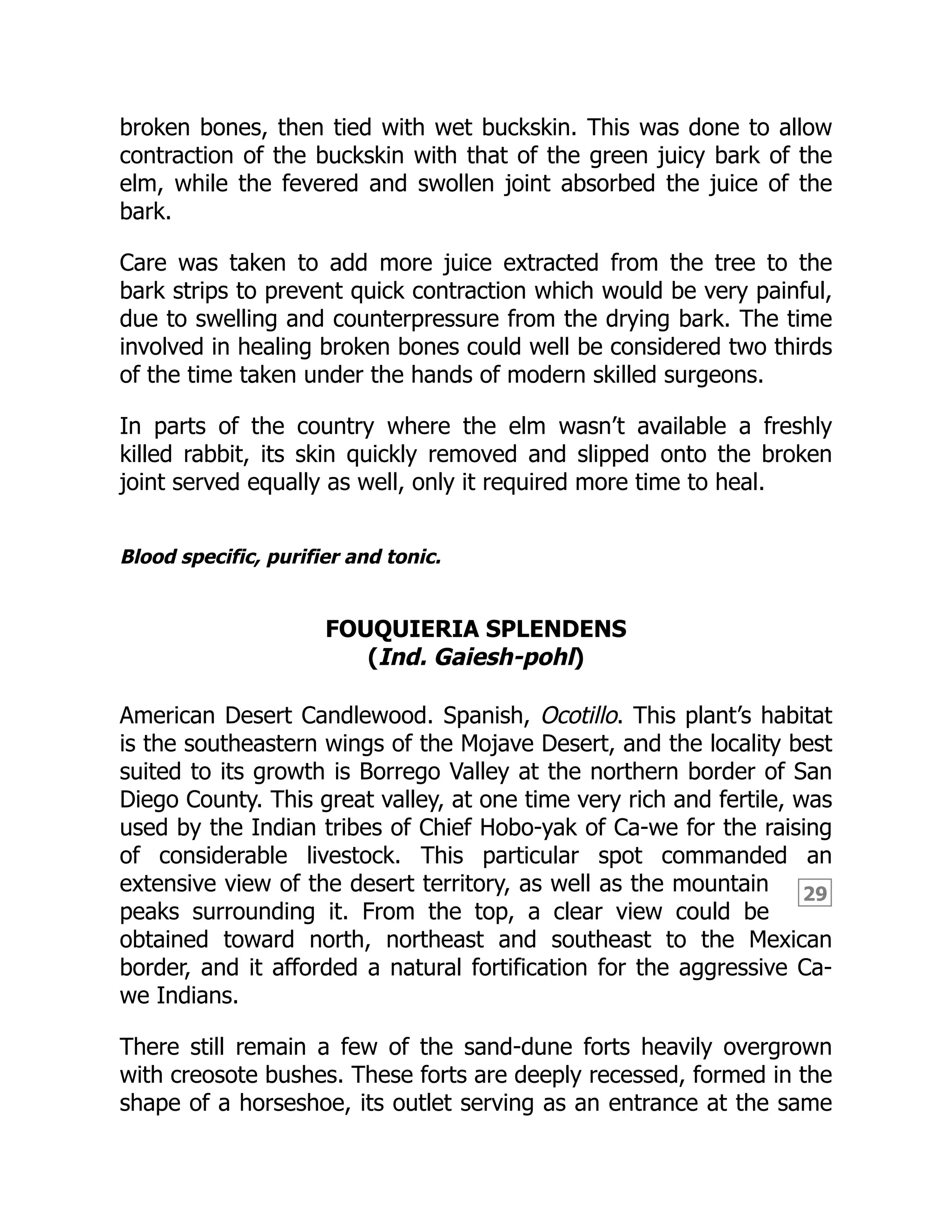 29
broken bones, then tied with wet buckskin. This was done to allow
contraction of the buckskin with that of the green juicy bark of the
elm, while the fevered and swollen joint absorbed the juice of the
bark.
Care was taken to add more juice extracted from the tree to the
bark strips to prevent quick contraction which would be very painful,
due to swelling and counterpressure from the drying bark. The time
involved in healing broken bones could well be considered two thirds
of the time taken under the hands of modern skilled surgeons.
In parts of the country where the elm wasn’t available a freshly
killed rabbit, its skin quickly removed and slipped onto the broken
joint served equally as well, only it required more time to heal.
Blood specific, purifier and tonic.
FOUQUIERIA SPLENDENS
(Ind. Gaiesh-pohl)
American Desert Candlewood. Spanish, Ocotillo. This plant’s habitat
is the southeastern wings of the Mojave Desert, and the locality best
suited to its growth is Borrego Valley at the northern border of San
Diego County. This great valley, at one time very rich and fertile, was
used by the Indian tribes of Chief Hobo-yak of Ca-we for the raising
of considerable livestock. This particular spot commanded an
extensive view of the desert territory, as well as the mountain
peaks surrounding it. From the top, a clear view could be
obtained toward north, northeast and southeast to the Mexican
border, and it afforded a natural fortification for the aggressive Ca-
we Indians.
There still remain a few of the sand-dune forts heavily overgrown
with creosote bushes. These forts are deeply recessed, formed in the
shape of a horseshoe, its outlet serving as an entrance at the same
 