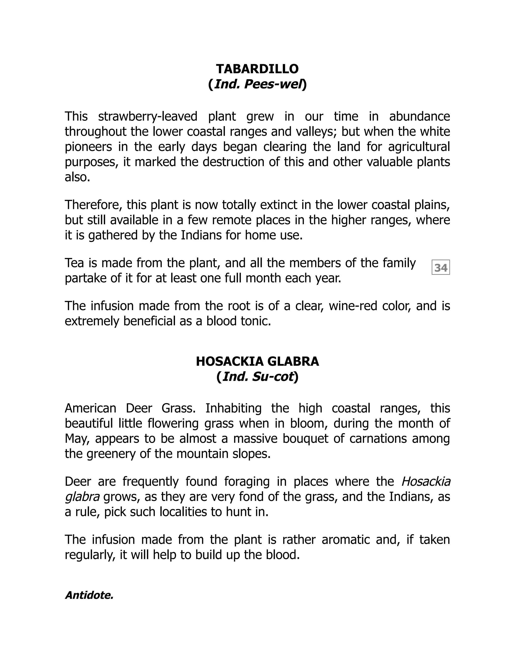34
TABARDILLO
(Ind. Pees-wel)
This strawberry-leaved plant grew in our time in abundance
throughout the lower coastal ranges and valleys; but when the white
pioneers in the early days began clearing the land for agricultural
purposes, it marked the destruction of this and other valuable plants
also.
Therefore, this plant is now totally extinct in the lower coastal plains,
but still available in a few remote places in the higher ranges, where
it is gathered by the Indians for home use.
Tea is made from the plant, and all the members of the family
partake of it for at least one full month each year.
The infusion made from the root is of a clear, wine-red color, and is
extremely beneficial as a blood tonic.
HOSACKIA GLABRA
(Ind. Su-cot)
American Deer Grass. Inhabiting the high coastal ranges, this
beautiful little flowering grass when in bloom, during the month of
May, appears to be almost a massive bouquet of carnations among
the greenery of the mountain slopes.
Deer are frequently found foraging in places where the Hosackia
glabra grows, as they are very fond of the grass, and the Indians, as
a rule, pick such localities to hunt in.
The infusion made from the plant is rather aromatic and, if taken
regularly, it will help to build up the blood.
Antidote.
 