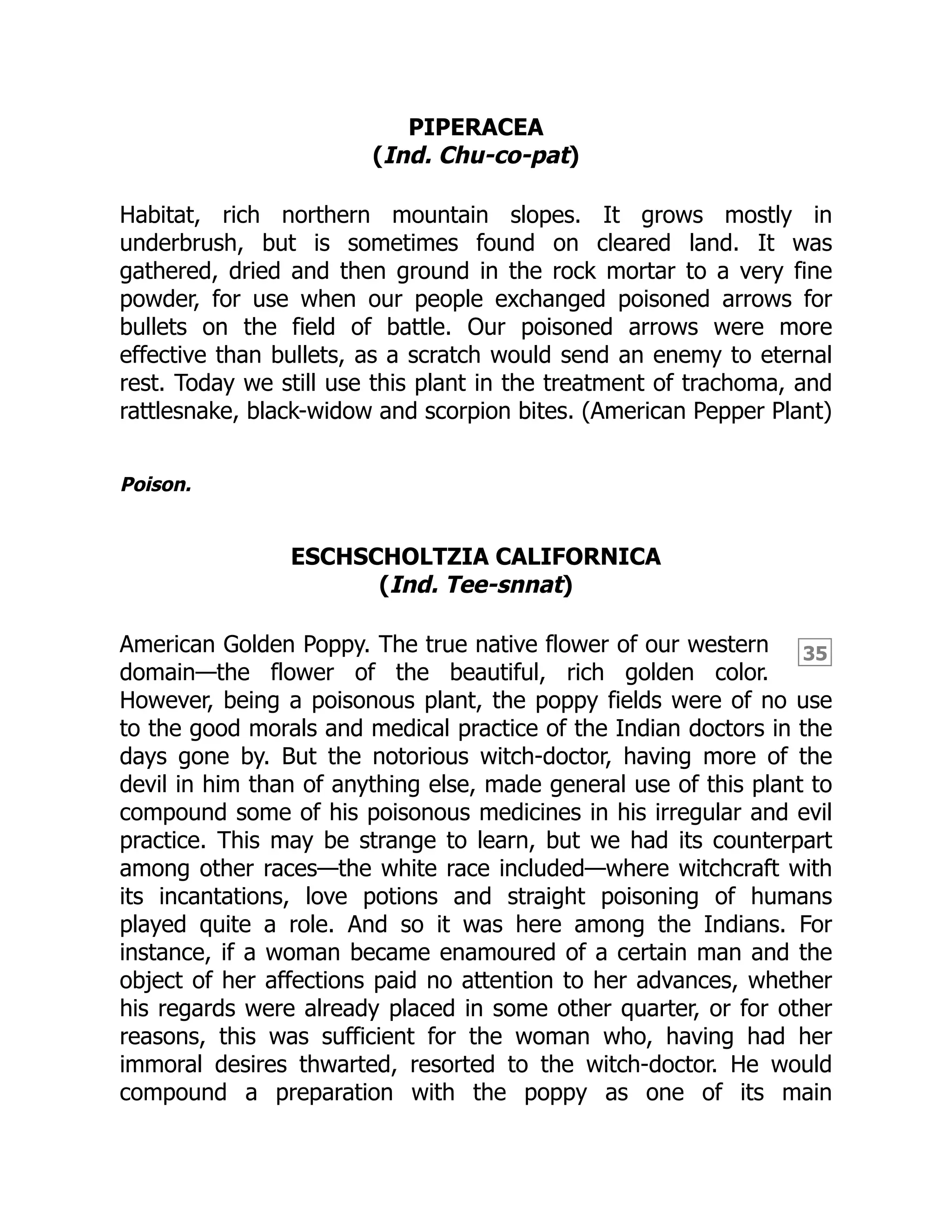 35
PIPERACEA
(Ind. Chu-co-pat)
Habitat, rich northern mountain slopes. It grows mostly in
underbrush, but is sometimes found on cleared land. It was
gathered, dried and then ground in the rock mortar to a very fine
powder, for use when our people exchanged poisoned arrows for
bullets on the field of battle. Our poisoned arrows were more
effective than bullets, as a scratch would send an enemy to eternal
rest. Today we still use this plant in the treatment of trachoma, and
rattlesnake, black-widow and scorpion bites. (American Pepper Plant)
Poison.
ESCHSCHOLTZIA CALIFORNICA
(Ind. Tee-snnat)
American Golden Poppy. The true native flower of our western
domain—the flower of the beautiful, rich golden color.
However, being a poisonous plant, the poppy fields were of no use
to the good morals and medical practice of the Indian doctors in the
days gone by. But the notorious witch-doctor, having more of the
devil in him than of anything else, made general use of this plant to
compound some of his poisonous medicines in his irregular and evil
practice. This may be strange to learn, but we had its counterpart
among other races—the white race included—where witchcraft with
its incantations, love potions and straight poisoning of humans
played quite a role. And so it was here among the Indians. For
instance, if a woman became enamoured of a certain man and the
object of her affections paid no attention to her advances, whether
his regards were already placed in some other quarter, or for other
reasons, this was sufficient for the woman who, having had her
immoral desires thwarted, resorted to the witch-doctor. He would
compound a preparation with the poppy as one of its main
 