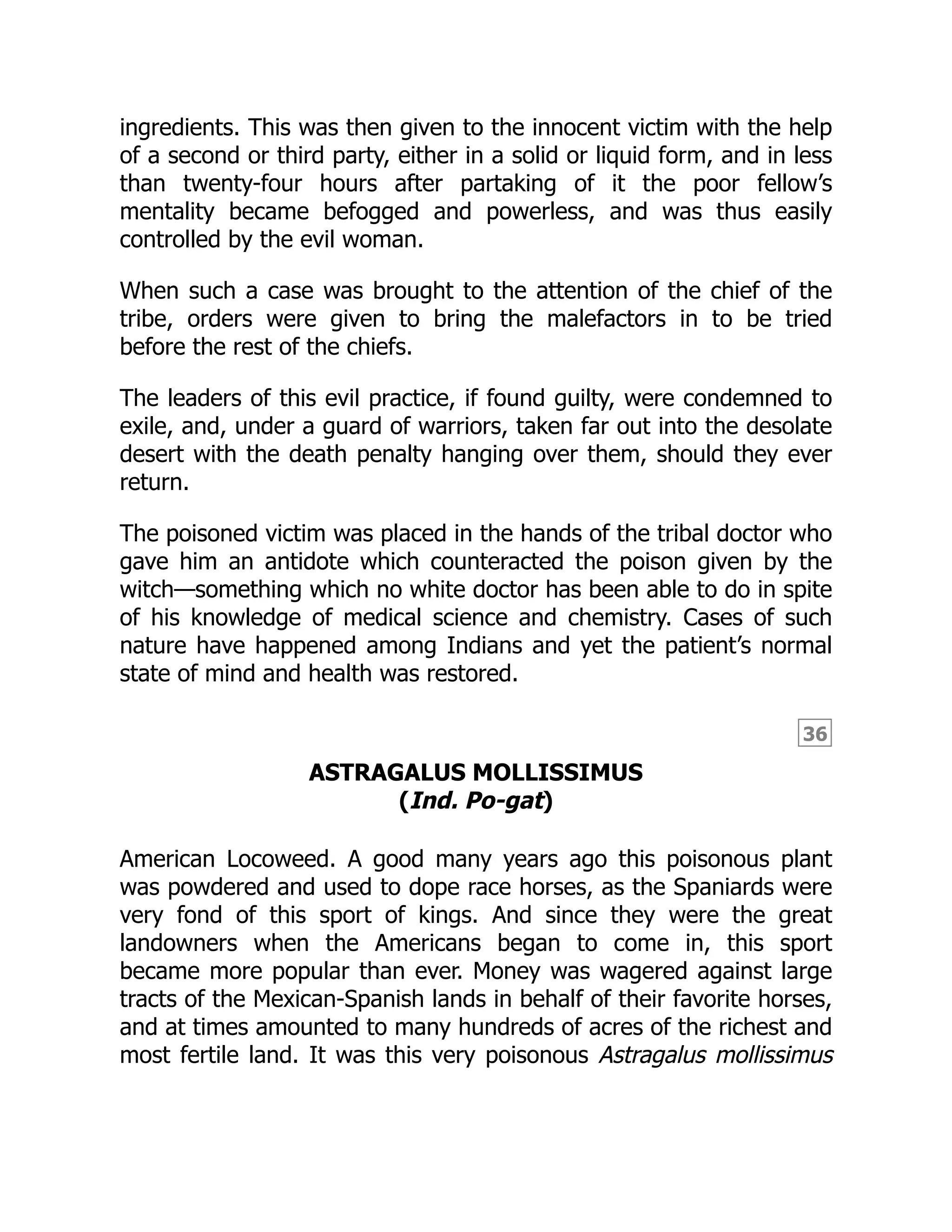36
ingredients. This was then given to the innocent victim with the help
of a second or third party, either in a solid or liquid form, and in less
than twenty-four hours after partaking of it the poor fellow’s
mentality became befogged and powerless, and was thus easily
controlled by the evil woman.
When such a case was brought to the attention of the chief of the
tribe, orders were given to bring the malefactors in to be tried
before the rest of the chiefs.
The leaders of this evil practice, if found guilty, were condemned to
exile, and, under a guard of warriors, taken far out into the desolate
desert with the death penalty hanging over them, should they ever
return.
The poisoned victim was placed in the hands of the tribal doctor who
gave him an antidote which counteracted the poison given by the
witch—something which no white doctor has been able to do in spite
of his knowledge of medical science and chemistry. Cases of such
nature have happened among Indians and yet the patient’s normal
state of mind and health was restored.
ASTRAGALUS MOLLISSIMUS
(Ind. Po-gat)
American Locoweed. A good many years ago this poisonous plant
was powdered and used to dope race horses, as the Spaniards were
very fond of this sport of kings. And since they were the great
landowners when the Americans began to come in, this sport
became more popular than ever. Money was wagered against large
tracts of the Mexican-Spanish lands in behalf of their favorite horses,
and at times amounted to many hundreds of acres of the richest and
most fertile land. It was this very poisonous Astragalus mollissimus
 