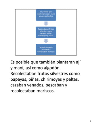 Es posible que también plantaran ají
y maní, así como algodón.
Recolectaban frutos silvestres como
papayas, piñas, chirimoyas y paltas,
cazaban venados, pescaban y
recolectaban mariscos.




                                       9
 