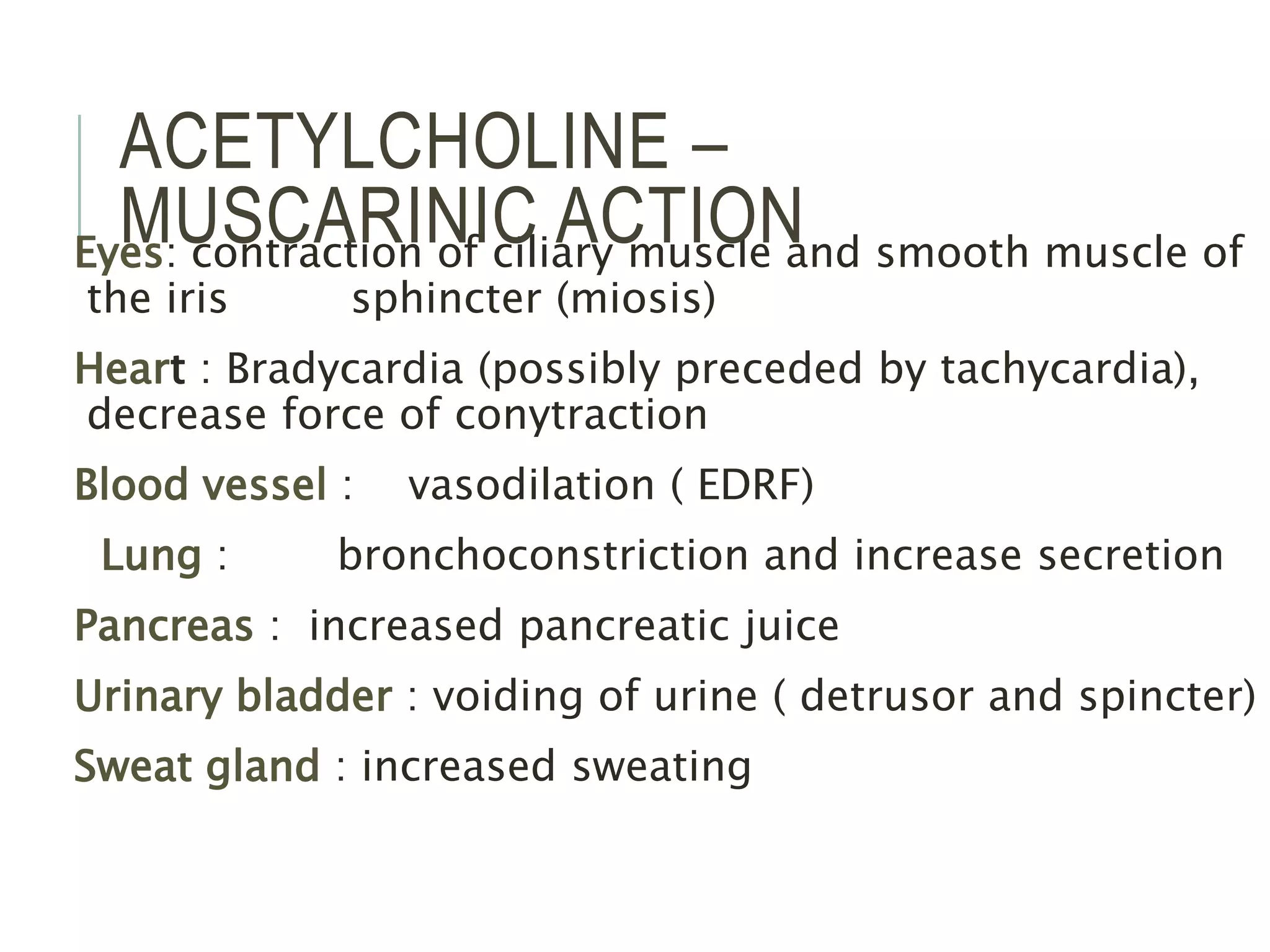 Eyes: contraction of ciliary muscle and smooth muscle of
the iris sphincter (miosis)
Heart : Bradycardia (possibly preceded by tachycardia),
decrease force of conytraction
Blood vessel : vasodilation ( EDRF)
Lung : bronchoconstriction and increase secretion
Pancreas : increased pancreatic juice
Urinary bladder : voiding of urine ( detrusor and spincter)
Sweat gland : increased sweating
ACETYLCHOLINE –
MUSCARINIC ACTION
 