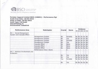 BSCI Audit Report(PAL) 18-04-2016-02