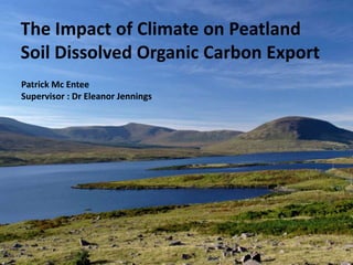 The Impact of Climate on Peatland
Soil Dissolved Organic Carbon Export
Patrick Mc Entee
Supervisor : Dr Eleanor Jennings
 