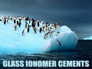 GLASS    IONOMER
CEMENT
 