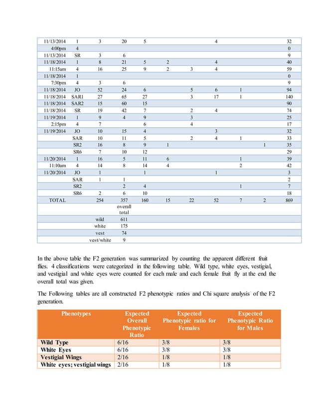Fruit Fly lab report PDF