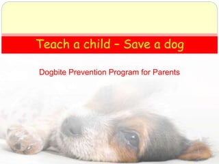 Dogbite Prevention Program for Parents
Teach a child – Save a dog
 