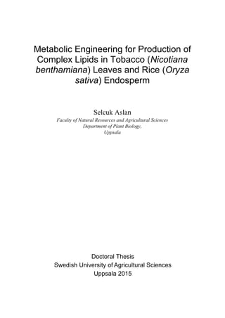 Metabolic Engineering for Production of
Complex Lipids in Tobacco (Nicotiana
benthamiana) Leaves and Rice (Oryza
sativa) Endosperm
Selcuk Aslan
Faculty of Natural Resources and Agricultural Sciences
Department of Plant Biology,
Uppsala
Doctoral Thesis
Swedish University of Agricultural Sciences
Uppsala 2015
 