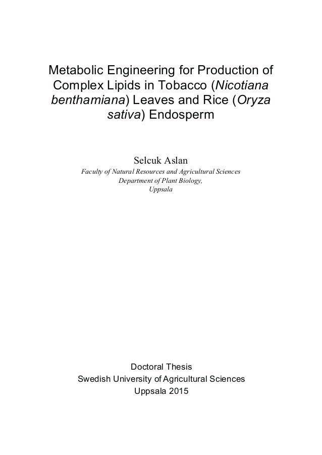 Phd thesis antioxidant activity