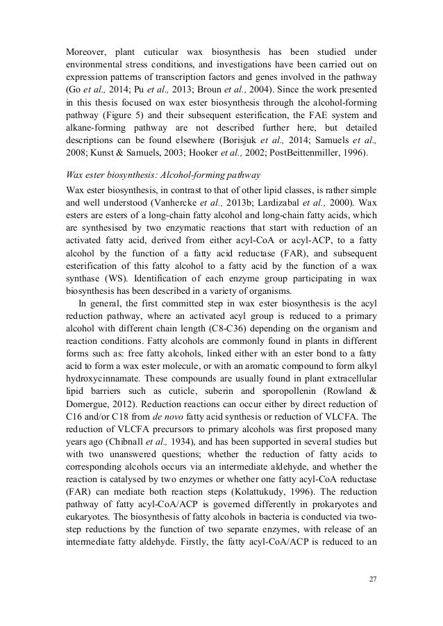 System identification phd thesis