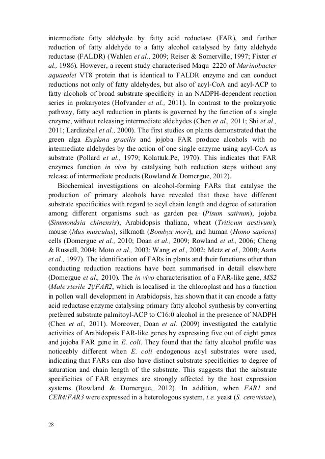 Doctoral thesis enzymology