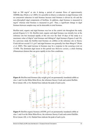 high as 300 mg/m2
at site 4 during a period of constant flows of approximately
2600ML/day (Watts et al. 2005). It is possible to observe a reduction in algal biomass with
no concurrent reduction in total biomass because total biomass is driven by silt and the
non-chlorophyll algal components of biofilms. In addition, algal biomass is measured in
mg/m2
whereas total biomass is measured in g/m2
. Thus, a significant change in algal
biomass between samples may not be detectable in total biomass.
Biofilm total, organic and algal biomass was low at the control site throughout the study
period (Figures 8, 9, 10). Biofilm total, organic and algal biomass was initially low at the
reference site but increased rapidly at this site over the final 10 days of the study to a
maximum value of 44g/m2
total biomass and 446mg/m2
algal biomass (Figures 8 and 10).
In a previous study the biofilm total biomass on cobbles at the reference site in Snowy
Creek did not exceed 5.11 g/m2
and algal biomass was generally less than 40mg/m2
(Watts
et al. 2005). This rapid increase in biomass may be a response to the scouring event on
13/4/06. The dominant algal taxon in this period was Melosira varians, a chain forming
(filamentous) diatom that can grow rapidly in low flow conditions.
0
10
20
30
40
50
60
70
06-Apr-06 09-Apr-06 13-Apr-06 16-Apr-06 20-Apr-06 23-Apr-06 27-Apr-06 30-Apr-06 04-May-06
Date
BiofilmdryWeight(g/m2
)
Site 1
Site 4
Reference
Control
Figure 8: Biofilm total biomass (dry weight g/m²) on permanently inundated cobble at
sites 1 and 4 in the Mitta Mitta River, the reference Snowy Creek and control Buffalo
River (mean ±SE, n=6). Dashed lines indicate the peak of each cycle.
0
2
4
6
8
10
12
14
16
18
06-Apr-06 09-Apr-06 13-Apr-06 16-Apr-06 20-Apr-06 23-Apr-06 27-Apr-06 30-Apr-06 04-May-06
Date
Biofilmorganicmatter(g/m2
)
Site 1
Site 4
Reference
Control
Figure 9: Biofilm organic biomass (AFDW g/m²) on permanently inundated cobble at
sites 1 and 4 on the Mitta Mitta River, the reference Snowy Creek and control Buffalo
River (mean ±SE, n=6). Dashed lines indicate the peak of each cycle.
INSTITUTE FOR LAND WATER AND SOCIETY - CHARLES STURT UNIVERSITY 16
 