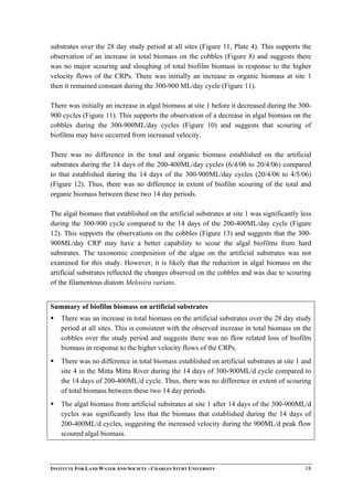 substrates over the 28 day study period at all sites (Figure 11, Plate 4). This supports the
observation of an increase in total biomass on the cobbles (Figure 8) and suggests there
was no major scouring and sloughing of total biofilm biomass in response to the higher
velocity flows of the CRPs. There was initially an increase in organic biomass at site 1
then it remained constant during the 300-900 ML/day cycle (Figure 11).
There was initially an increase in algal biomass at site 1 before it decreased during the 300-
900 cycles (Figure 11). This supports the observation of a decrease in algal biomass on the
cobbles during the 300-900ML/day cycles (Figure 10) and suggests that scouring of
biofilms may have occurred from increased velocity.
There was no difference in the total and organic biomass established on the artificial
substrates during the 14 days of the 200-400ML/day cycles (6/4/06 to 20/4/06) compared
to that established during the 14 days of the 300-900ML/day cycles (20/4/06 to 4/5/06)
(Figure 12). Thus, there was no difference in extent of biofilm scouring of the total and
organic biomass between these two 14 day periods.
The algal biomass that established on the artificial substrates at site 1 was significantly less
during the 300-900 cycle compared to the 14 days of the 200-400ML/day cycle (Figure
12). This supports the observations on the cobbles (Figure 13) and suggests that the 300-
900ML/day CRP may have a better capability to scour the algal biofilms from hard
substrates. The taxonomic composition of the algae on the artificial substrates was not
examined for this study. However, it is likely that the reduction in algal biomass on the
artificial substrates reflected the changes observed on the cobbles and was due to scouring
of the filamentous diatom Melosira varians.
Summary of biofilm biomass on artificial substrates
There was an increase in total biomass on the artificial substrates over the 28 day study
period at all sites. This is consistent with the observed increase in total biomass on the
cobbles over the study period and suggests there was no flow related loss of biofilm
biomass in response to the higher velocity flows of the CRPs.
There was no difference in total biomass established on artificial substrates at site 1 and
site 4 in the Mitta Mitta River during the 14 days of 300-900ML/d cycle compared to
the 14 days of 200-400ML/d cycle. Thus, there was no difference in extent of scouring
of total biomass between these two 14 day periods.
The algal biomass from artificial substrates at site 1 after 14 days of the 300-900ML/d
cycles was significantly less that the biomass that established during the 14 days of
200-400ML/d cycles, suggesting the increased velocity during the 900ML/d peak flow
scoured algal biomass.
INSTITUTE FOR LAND WATER AND SOCIETY - CHARLES STURT UNIVERSITY 18
 