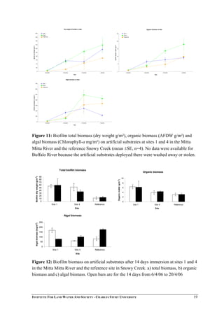 Dry weight of biofilm on tiles
0
20
40
60
80
100
120
140
160
180
200
13/04/2006 20/04/2006 27/04/2006 4/05/2006
Date
BiofilmdryWeight(g/m2
)
Site 1
Site 4
Reference
Organic biomass on tiles
0
5
10
15
20
25
13/04/2006 20/04/2006 27/04/2006 4/05/2006
Date
BiofilmOrganicmatter(g/m2
)
Site 1
Site 4
Reference
Algal biomass on tiles
0
100
200
300
400
500
600
700
13/04/2006 20/04/2006 27/04/2006 4/05/2006
Date
Biofilmcholorphylla(mg/m2
)
Site 1
Site 4
Reference
Figure 11: Biofilm total biomass (dry weight g/m²), organic biomass (AFDW g/m²) and
algal biomass (Chlorophyll-a mg/m²) on artificial substrates at sites 1 and 4 in the Mitta
Mitta River and the reference Snowy Creek (mean ±SE, n=4). No data were available for
Buffalo River because the artificial substrates deployed there were washed away or stolen.
Total biofilm biomass
0
10
20
30
40
50
60
70
80
90
Site 1 Site 4 Reference
Site
Biofilmdryweight(g/m2
)
Organic biomass
0
2
4
6
8
10
Site 1 Site 4 Reference
Site
Organicmatter(g/m2
)
Algal biomass
0
50
100
150
200
250
Site 1 Site 4 Reference
Site
Algalbiomass(mg/m2
)
Figure 12: Biofilm biomass on artificial substrates after 14 days immersion at sites 1 and 4
in the Mitta Mitta River and the reference site in Snowy Creek. a) total biomass, b) organic
biomass and c) algal biomass. Open bars are for the 14 days from 6/4/06 to 20/4/06
INSTITUTE FOR LAND WATER AND SOCIETY - CHARLES STURT UNIVERSITY 19
 