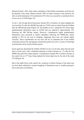 Diatoms formed > 40% of the relative abundance of the biofilm communities at all sites for
the duration of the study. Diatoms formed >80% of relative biomass at the reference site
after an initial dominance of Cyanobacteria (53%) that was scoured by a catchment driven
a river rise on 13/4/06 (Figure 14).
At site 1, the red alga Batrachospermum formed 20% of biomass on initial sampling but
was less than 2% after the 400 ML/day peak on 13/4/06, and was absent from the biofilms
after the 900 ML/day peak (Figure 14). The biofilm at site 1 comprised 32% Green algae
(predominantly filamentous taxa) on 22/4/06 and was reduced to approximately 15%
following the 900 ML/day release. However, Cyanobacteria (again predominantly
filamentous taxa) increased in relative abundance following the 900ML/day release
peaking at 35% by the end of sampling, suggesting these taxa can tolerate higher
velocities. These cyanobacteria are not toxic and are an important part of the biofilm
community because the mucilaginous sheath that protects the cell is a source of food high
in protein that can be used by benthic grazers.
Green algal taxa dominated the biofilm (50-60%) at site 4 at all times other than the peak
flows of each cycle, with a substantial reduction in relative biomass to <1% after the two
900ML/day peak flow release patterns. Cyanobacteria reached 50% of relative biomass at
the control site on 13th
June, being replaced by Green algal taxa by the end of the study
(51%)(Figure 14).
Due to the stable flows at the control site, variations in relative biomass of the major taxa
are most likely attributed to natural sloughing of filamentous taxa or variable grazing by
micro and macro invertebrates.
INSTITUTE FOR LAND WATER AND SOCIETY - CHARLES STURT UNIVERSITY 22
 