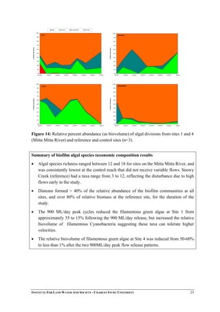 SITE 1
0%
10%
20%
30%
40%
50%
60%
70%
80%
90%
100%
6/04/06 10/04/06 14/04/06 18/04/06 22/04/06 26/04/06 30/04/06 4/05/06
%RelativeAbundance
REDS GREENS BLUEGREENS DIATOMS
SITE 1
0%
10%
20%
30%
40%
50%
60%
70%
80%
90%
100%
6/04/06 10/04/06 14/04/06 18/04/06 22/04/06 26/04/06 30/04/06 4/05/06
%RelativeAbundance
CONTROL
0%
10%
20%
30%
40%
50%
60%
70%
80%
90%
100%
6/04/06 10/04/06 14/04/06 18/04/06 22/04/06 26/04/06 30/04/06 4/05/06
%RelativeAbundance
SITE 4
0%
10%
20%
30%
40%
50%
60%
70%
80%
90%
100%
6/04/06 10/04/06 14/04/06 18/04/06 22/04/06 26/04/06 30/04/06 4/05/06
%RelativeAbundance
REFERENCE
Figure 14: Relative percent abundance (as biovolume) of algal divisions from sites 1 and 4
(Mitta Mitta River) and reference and control sites (n=3).
Summary of biofilm algal species taxonomic composition results
• Algal species richness ranged between 12 and 18 for sites on the Mitta Mitta River, and
was consistently lowest at the control reach that did not receive variable flows. Snowy
Creek (reference) had a taxa range from 3 to 12, reflecting the disturbance due to high
flows early in the study.
• Diatoms formed > 40% of the relative abundance of the biofilm communities at all
sites, and over 80% of relative biomass at the reference site, for the duration of the
study.
• The 900 ML/day peak cycles reduced the filamentous green algae at Site 1 from
approximately 35 to 15% following the 900 ML/day release, but increased the relative
biovolume of filamentous Cyanobacteria suggesting these taxa can tolerate higher
velocities.
• The relative biovolume of filamentous green algae at Site 4 was reduced from 50-60%
to less than 1% after the two 900ML/day peak flow release patterns.
INSTITUTE FOR LAND WATER AND SOCIETY - CHARLES STURT UNIVERSITY 23
 