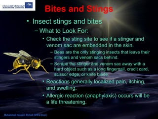 Bites and Stings
• Insect stings and bites
– What to Look For:
• Check the sting site to see if a stinger and
venom sac are embedded in the skin.
– Bees are the only stinging insects that leave their
stingers and venom sacs behind.
– Scrape the stinger and venom sac away with a
hard object such as a long fingernail, credit card,
scissor edge, or knife blade.
• Reactions generally localized pain, itching,
and swelling.
• Allergic reaction (anaphylaxis) occurs will be
a life threatening.
Muhammad Hassam Ahmad (SHEQ Dept.)
 
