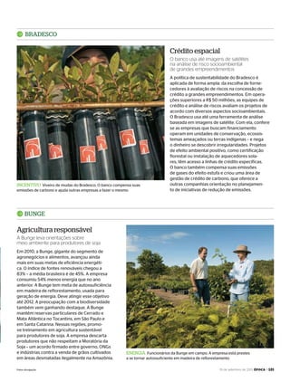 19 de setembro de 2011, época > 121
BrAdESCO
InCEnTIvO Viveiro de mudas do Bradesco. O banco compensa suas
emissões de carbono e ajuda outras empresas a fazer o mesmo
A política de sustentabilidade do Bradesco é
aplicada de forma ampla: da escolha de forne-
cedores à avaliação de riscos na concessão de
crédito a grandes empreendimentos. Em opera-
ções superiores a R$ 50 milhões, as equipes de
crédito e análise de riscos avaliam os projetos de
acordo com diversos aspectos socioambientais.
O Bradesco usa até uma ferramenta de análise
baseada em imagens de satélite. Com ela, confere
se as empresas que buscam financiamento
operam em unidades de conservação, ecossis-
temas ameaçados ou terras indígenas – e nega
o dinheiro se descobrir irregularidades. Projetos
de efeito ambiental positivo, como certificação
florestal ou instalação de aquecedores sola-
res, têm acesso a linhas de crédito específicas.
O banco também compensa suas emissões
de gases do efeito estufa e criou uma área de
gestão de crédito de carbono, que oferece a
outras companhias orientação no planejamen-
to de iniciativas de redução de emissões.
Crédito espacial
O banco usa até imagens de satélites
na análise de risco socioambiental
de grandes empreendimentos
EnErGIA Funcionários da Bunge em campo. A empresa está prestes
a se tornar autossuficiente em madeira de reflorestamento
Em 2010, a Bunge, gigante do segmento de
agronegócios e alimentos, avançou ainda
mais em suas metas de eficiência energéti-
ca. O índice de fontes renováveis chegou a
83% – a média brasileira é de 45%. A empresa
consumiu 54% menos energia que no ano
anterior. A Bunge tem meta de autossuficiência
em madeira de reflorestamento, usada para
geração de energia. Deve atingir esse objetivo
até 2012. A preocupação com a biodiversidade
também vem ganhando destaque. A Bunge
mantém reservas particulares de Cerrado e
Mata Atlântica no Tocantins, em São Paulo e
em Santa Catarina. Nessas regiões, promo-
ve treinamento em agricultura sustentável
para produtores de soja. A empresa descarta
produtores que não respeitam a Moratória da
Soja – um acordo firmado entre governo, ONGs
e indústrias contra a venda de grãos cultivados
em áreas desmatadas ilegalmente na Amazônia.
BunGE
Agricultura responsável
A Bunge leva orientações sobre
meio ambiente para produtores de soja
Fotos: divulgação
EP696p118_128.indd 121 14/09/2011 20:26:59
 
