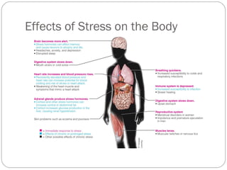 Effects of Stress on the Body
 