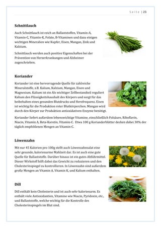 S e i t e | 23
Schnittlauch
Auch Schnittlauch ist reich an Ballaststoffen, Vitamin-A,
Vitamin-C, Vitamin-K, Folate, B-Vitaminen und dazu einigen
wichtigen Mineralien wie Kupfer, Eisen, Mangan, Zink und
Kalzium.
Schnittlauch werden auch positive Eigenschaften bei der
Prävention von Herzerkrankungen und Alzheimer
zugeschrieben.
Koriander
Koriander ist eine hervorragende Quelle für zahlreiche
Mineralstoffe, z.B. Kalium, Kalzium, Mangan, Eisen und
Magnesium. Kalium ist ein Als wichtiger Zellbestandteil reguliert
Kalium den Flüssigkeitshaushalt des Körpers und sorgt für das
beibehalten eines gesunden Blutdrucks und Herzfrequenz. Eisen
ist wichtig für die Produktion roter Blutkörperchen. Mangan wird
durch den Körper zur Produktion antioxidativen Enzyme benötigt.
Koriander liefert außerdem lebenswichtige Vitamine, einschließlich Folsäure, Riboflavin,
Niacin, Vitamin A, Beta-Karotin, Vitamin-C. Etwa 100 g Korianderblätter decken dabei 30% der
täglich empfohlenen Mengen an Vitamin-C.
Löwenzahn
Mit nur 45 Kalorien pro 100g stellt auch Löwenzahnsalat eine
sehr gesunde, kalorienarme Mahlzeit dar. Es ist auch eine gute
Quelle für Ballaststoffe. Darüber hinaus ist ein gutes Abführmittel.
Dieser Wirkstoff hilft dabei das Gewicht zu reduzieren und den
Cholesterinspiegel zu kontrollieren. In Löwenzahn sind außerdem
große Mengen an Vitamin A, Vitamin K, und Kalium enthalten.
Dill
Dill enthält kein Cholesterin und ist auch sehr kalorienarm. Es
enthält viele Antioxidantien, Vitamine wie Niacin, Pyridoxin, etc.,
und Ballaststoffe, welche wichtig für die Kontrolle des
Cholesterinspiegels im Blut sind.
 