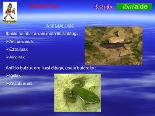 4. Proba ANIMALIAK Ibaian hainbat arrain mota ikusi ditugu:  Amuarrainak Ezkailuak  Aingirak Anfibio batzuk ere ikusi ditugu, esate baterako :  Igelak Zapaburuak. BIZIDUNAK 