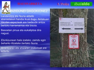 4. Proba HAUSNARKETA BIZIDUNEI DAGOKIONEZ Landaretza eta fauna aldetik aberastasun handia ikusi dugu. Arriskuan dauden espezieak ere badaude antza: bertoko karramarroa eta bisoia. Basoetan pinua eta eukaliptoa dira nagusi. Etorkizunean hala izateko, zaindu egin beharko litzateke bertako fauna. Arrantzaren eta ehizaren ondorioak ere aztertu. 