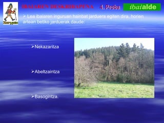 4. Proba Lea ibaiaren inguruan hainbat jarduera egiten dira, horien artean betiko jarduerak daude: Nekazaritza Abeltzaintza Basogintza.  IBAIAREN DESKRIBAPENA 