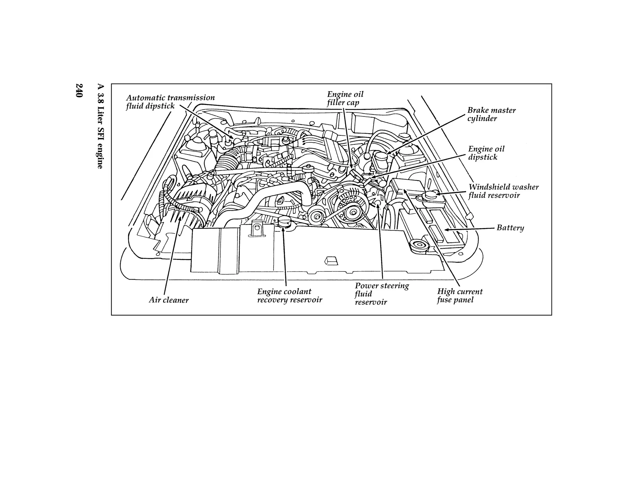 A 3.8 Liter SFI engine 
240 
 