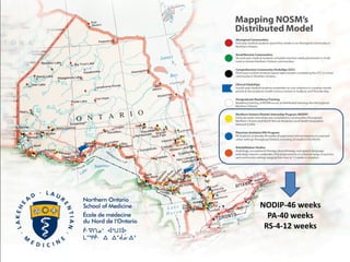 NODIP-46 weeks PA-40 weeks RS-4-12 weeks  