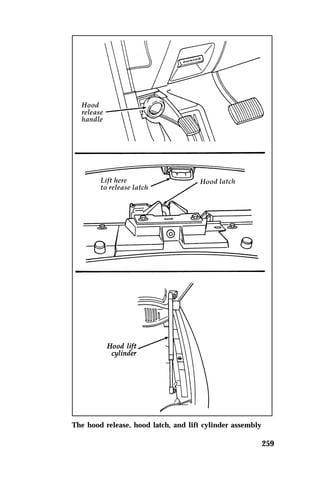 259 
The hood release, hood latch, and lift cylinder assembly 
 