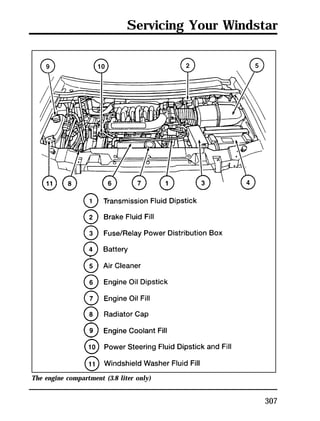 Servicing Your Windstar 
307 
The engine compartment (3.8 liter only) 
 