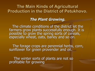 The Main Kinds of Agricultural Production in the District of Petukhovo. The Plant Growing. The climate conditions of the district let the farmers grow plants successfully enough. It is possible to grow the spring sorts of cereals, especially wheat, oats, barley and so on.  The forage crops are perennial herbs, corn, sunflower for green provender and oil. The winter sorts of plants are not so profitable for growing   